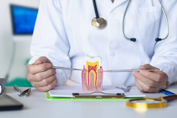 Best Emergency Dental Care for Sports Injuries in Phoenix Lake, CA